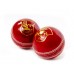 County Cricket Ball, Simply Cricket